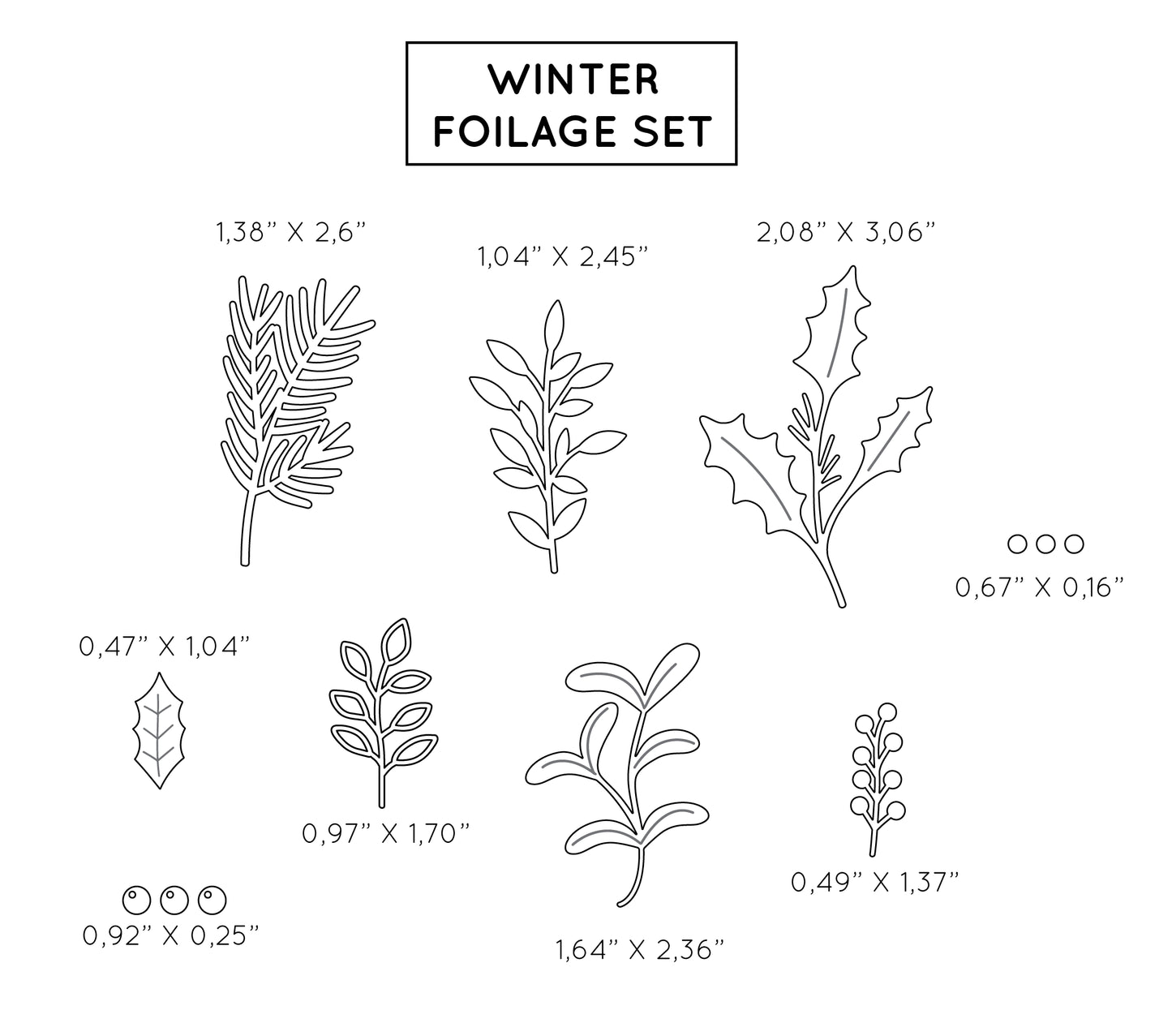 Set of winter foliage illustrations with dimensions on a white background