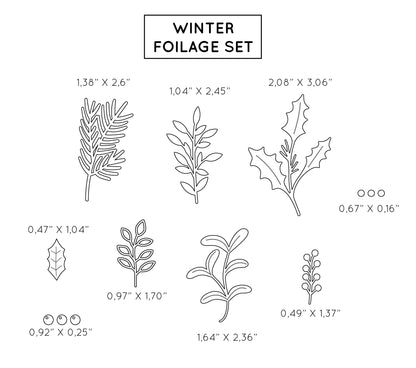 Set of winter foliage illustrations with dimensions on a white background